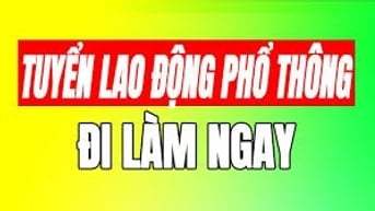 Đang cần gấp 3 người đóng gói và soạn hàng ( Lâu dài hoặc thời vụ )