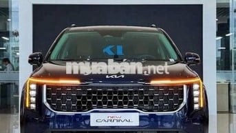 Kia Carnival 2024 2.2D Premium 8 chỗ