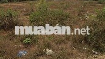 Cần bán đất thổ cư 175m2 trung tâm khu dân cư huyện Krông Pắc