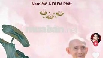 cho thuê mặt bằng khu trung sơn liền kề himlam