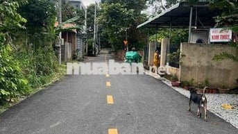 chính chủ bể ngộp miếng đất lô góc 2 mặt tiền siêu đẹp