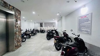 Bán CHDV đẻ trứng vàng  phố hồ tùng mậu