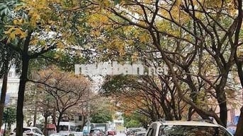 Căn hộ CC 60m khu N0 Trần Quý Kiên - nhà đẹp - tầng đẹp - giá tốt 5tỷ