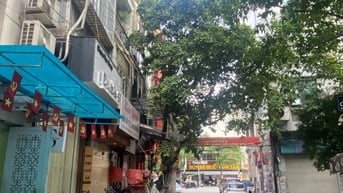 Bán nhà phố Trần Đại Nghĩa, Hai Bà Trưng 42m, 5 tầng. Giá: 15 tỷ