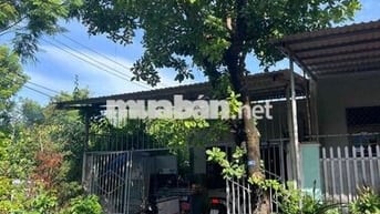 Bán đất tặng nhà c4 MT Xuân Thiều 11