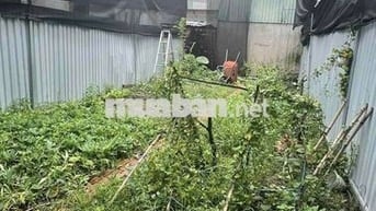 THỬA ĐẤT TL10- 610 TỜ 25- 87M2- ĐƯỜNG ÔTÔ TẢI- SỔ VUÔNG- CHỈ 5.4TY