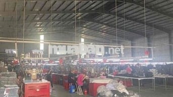 Xưởng Thuận An 2300m Có PCCC Vách Đường Cont + Trạm Điện