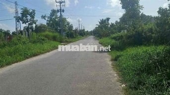 🌟 BÁN 9,6 CÔNG ĐẤT MẶT TIỀN LÂM QUANG KY – Cách đường 3/2 1km