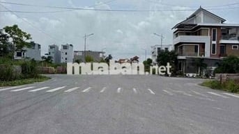 Bán tất cả Lô đất tại ÁP TRÀN, THUỶ NGUYÊN đủ vị trí đủ diện tích GIÁ