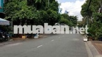 🌟13tr🌟5x26m_100k/m còn vài cái kho từ 100 đến 1600m_Nguyễn Hồng Đào
