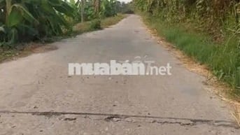 Bán GẤP ĐẤT THỔ CƯ SỔ RIÊNG ngay tại ỦY BAN Phường Bình Lộc Đồng Nai