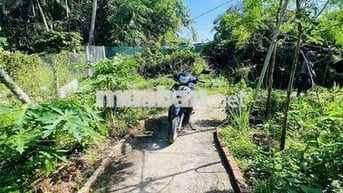 Bán nền rộng 350m2 hẻm bờ kè gạch cam giá chưa tới 1 tỷ