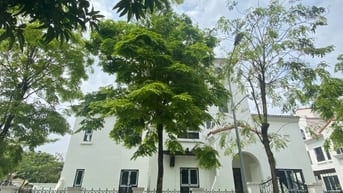 Bán căn Biệt thự 500m2 khu Hồ lớn Nam An Khánh