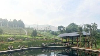 Đất nền Lộc Đức- Điểm đến an cư & Sinh lời.