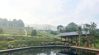 😍ĐẤT THỔ CƯ NGHỈ DƯỠNG – VIEW HỒ CỰC ĐẸP, KHÍ HẬU MÁT MẺ