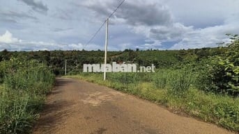 Đất view đẹp,  giá Ngộp thuộc  Tân Lạc Bảo Lâm