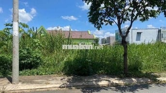Đất nền Long Hậu, mua bán ký gửi nhà đất NSG