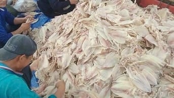 Tuyển dụng 4 lao động phổ thông - ngư phủ đi biển tại Phú Quốc, Kiên G