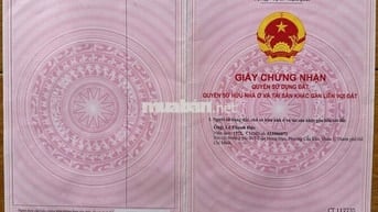 Chính chủ cần bán gấp đất lúa Tân An cách đường Lê Hữu Nghĩa 100m