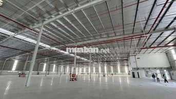 Cho Thuê Xưởng 2000m²KCN Đức Hòa,PCCC Tự Động ,Chỉ 3,5 USD/m²