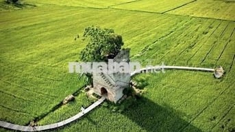 Chính chủ cần tiền bán nhà gác lững gần sông Thu Bồn