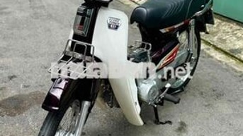 dream thái 98 nguyên bản