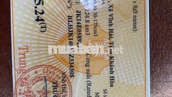 cần tiền bán gấp
