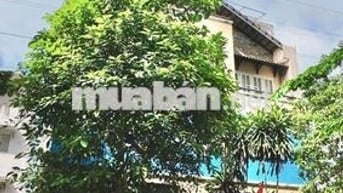 cho thuê biệt thự khu dân cư Thới An (Khu biệt thự bờ kè),Lê Thị Riêng