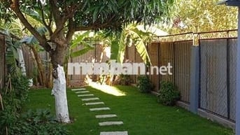 Nhà mới xây 2PN,3WC,100m2 tại 499 Đào Sư Tích, 11 triệu, có sân vườn