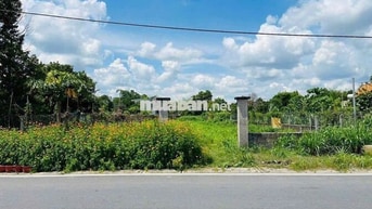 5x21 full thổ cư Ba Sa  - Tân Thông Hội mới - MT nhựa 6m - SHR