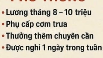 TUYỂN GẤP 03 LAO ĐỘNG PHỔ THÔNG _ ĐI LÀM NGAY
