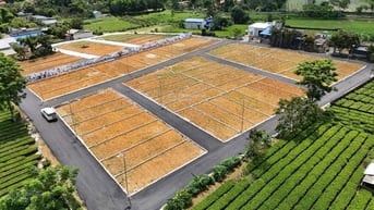 Đất nền thổ cư trung tâm Lạc Thủy Hòa Bình | Giá chỉ từ 580 triệu sinh