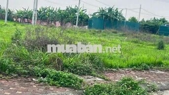 Bán gấp đất  Hoàng Xá Khánh hà ,ô tô ,phân lô ,vỉa hè giá 5.5 tỷ