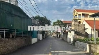 🌟BÁN ĐẤT HỒNG VÂN - THƯỜNG TÍN  🌟