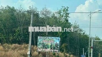 lô đất hơn 1 ngàn m2 tại bình mỹ bắc tân uyên