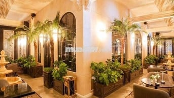 Sốc té ngửa - Diện tích gần 500m2 cho Nguyễn Huệ Q1. Giá chỉ đầu 3xx!