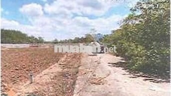 Bán ĐGTS đất tại Ấp Cầu Ri, phường Tân Thành, TP. Hồ Chí Minh
