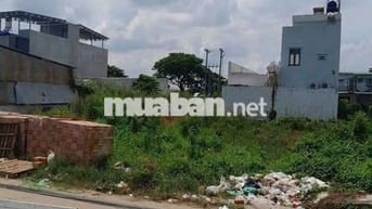 Cặp đất 10 x 25 (250m2 Full thổ) Mặt tiền nhựa 8m thông KDC Tân Đức