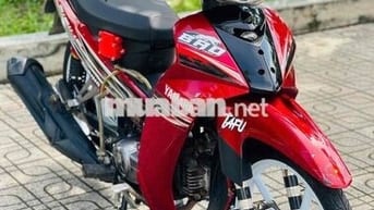 sirius bông mai biển 61