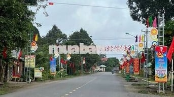 Đất Mặt Tiền DH504 Giá Rẻ, diện tích 400m2 (10x40), Sổ Hồng Riêng