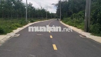 Chính chủ cần bán nhanh lô đất Đ.NA4, Thới Hòa mà giá chỉ 780 triệu.
