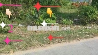 BÁN ĐẤT MẶT TIỀN ẤP PHÚ HÀO P PHÚ KHƯƠNG T VÍNH LONG