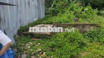 Đất xây nhà Long Khánh 115m² – hẻm rộng, yên tĩnh, giá hợp lý
