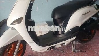 Nozza 2014, bs59 gtdd bao tranh chấp,xe đẹp máy êm