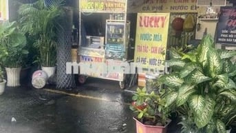 3 tháng đầu chủ lấy giá 4 triệu