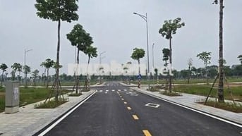 🏡 BÁN DỰ ÁN ĐẤT TẠI HOÀNG LIỆT – HOÀNG MAI 🏡