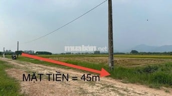 ❤️🔥Bán 1642m2 Đất Ruộng Hiền Ninh - LÔ GÓC – Sát Trục Chính Thông Ô Tô