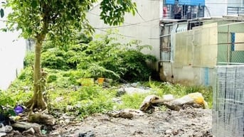 Bán đất mặt tiền 20m Bùi Tư Toàn, An Lạc, 262m², giá 19,5 tỷ