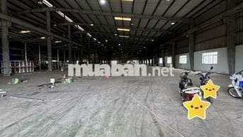 🏭 BÁN KHO XƯỞNG SIÊU RỘNG 8100M –  PHÚ XUYÊN  HÀ NỘI 🏭