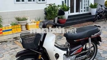 Xe dream Hàn Quốc